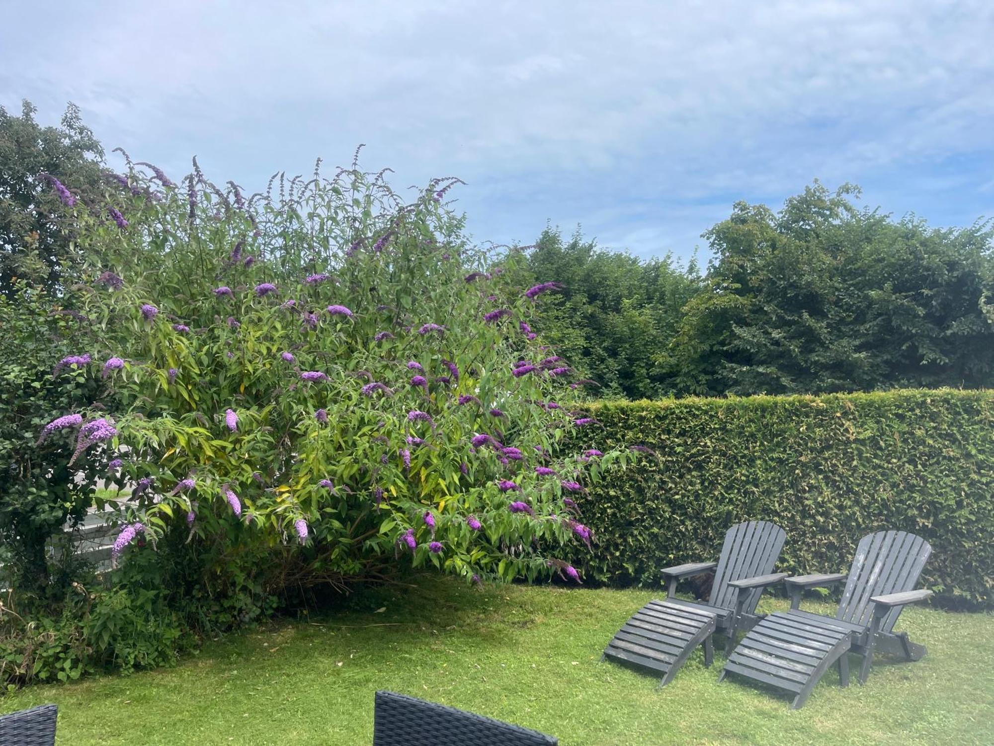 Heidis Residence-Sandkaas, Bornholm Allinge-Sandvig Εξωτερικό φωτογραφία